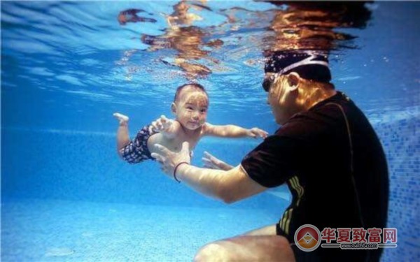水育早教加盟